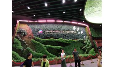 2019北京世園會，我們來啦